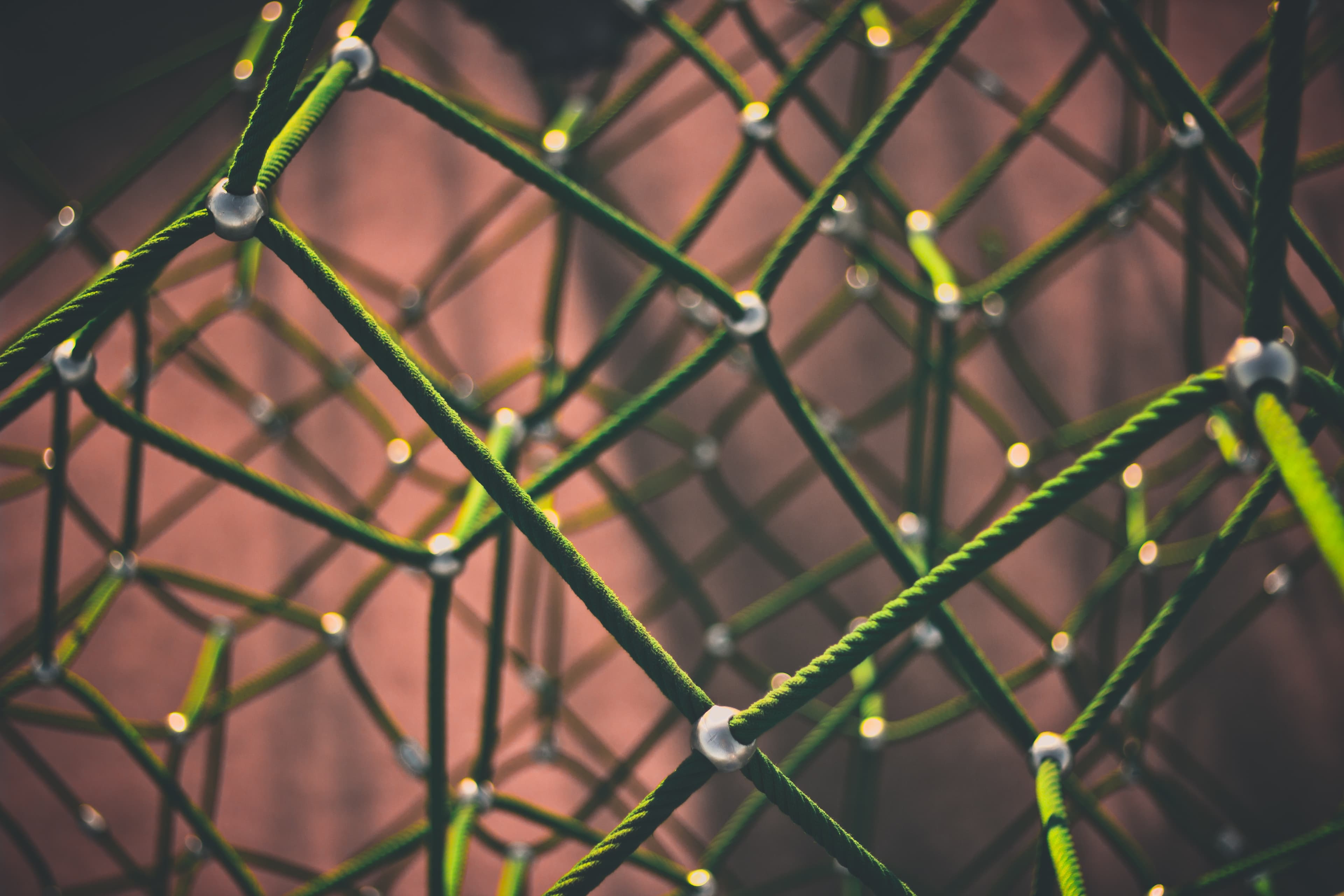 a lattice of green rope.