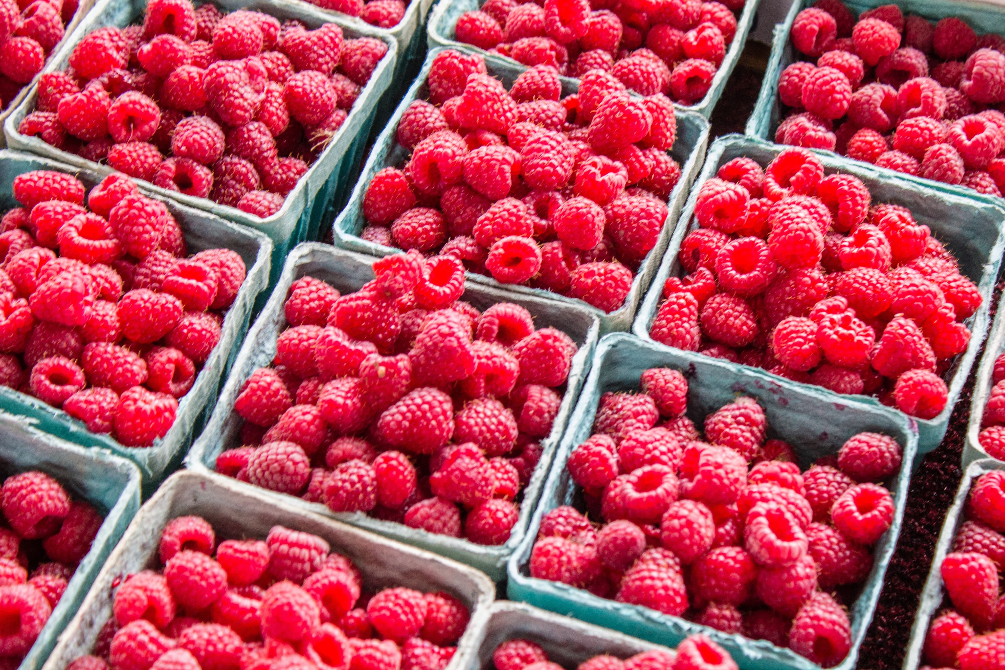 Raspberries in cardboard boxes.